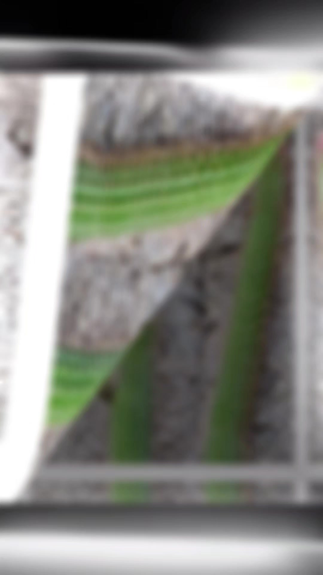 @Alfonso Ru&iacute;z Guerrero