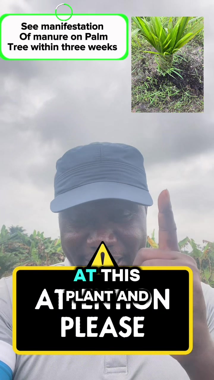 @BabaObaTv @Yuki Agro limited