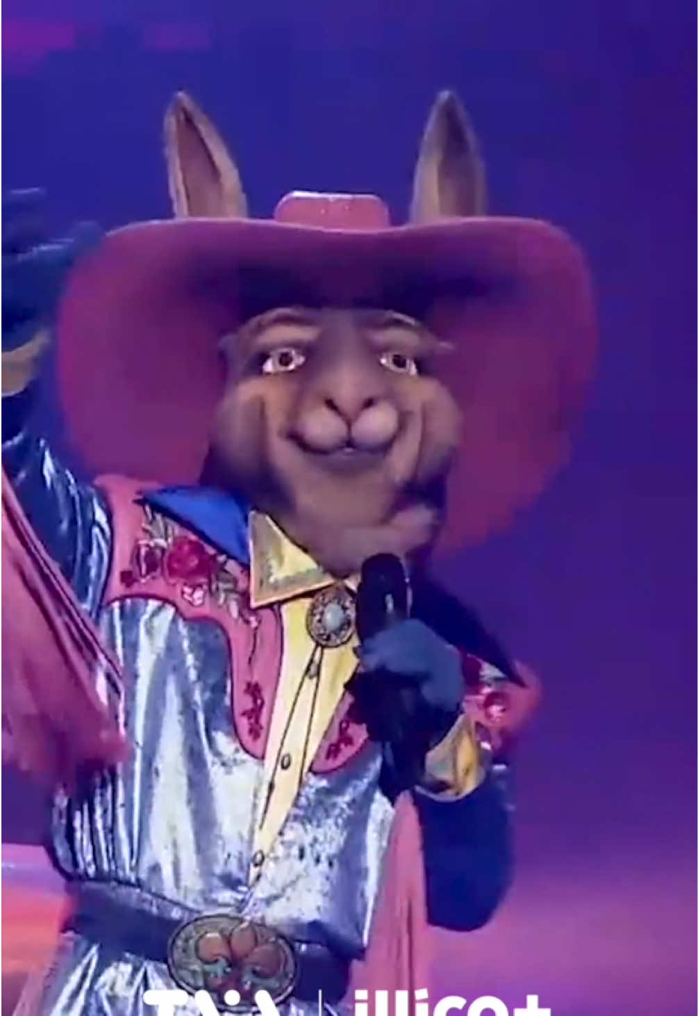 @Chanteurs masqu&eacute;s