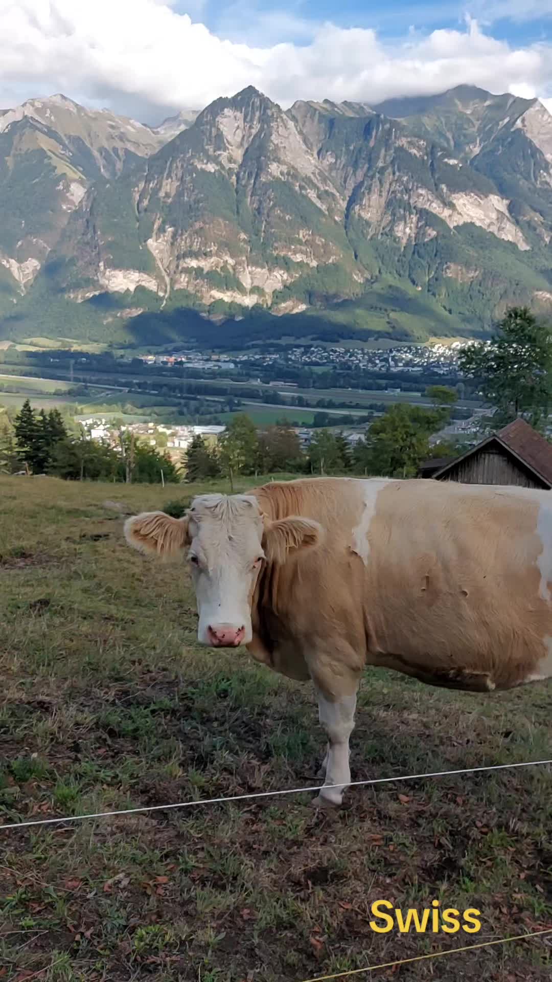 @Vladzik67