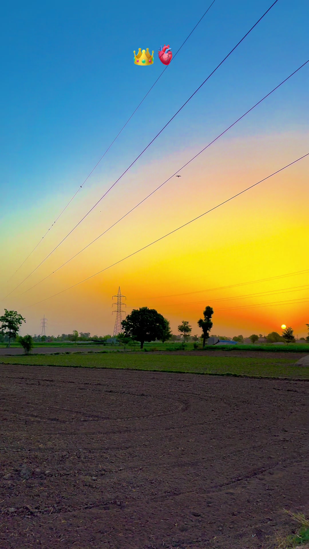 @پنجابی کلچر 🌾🍂