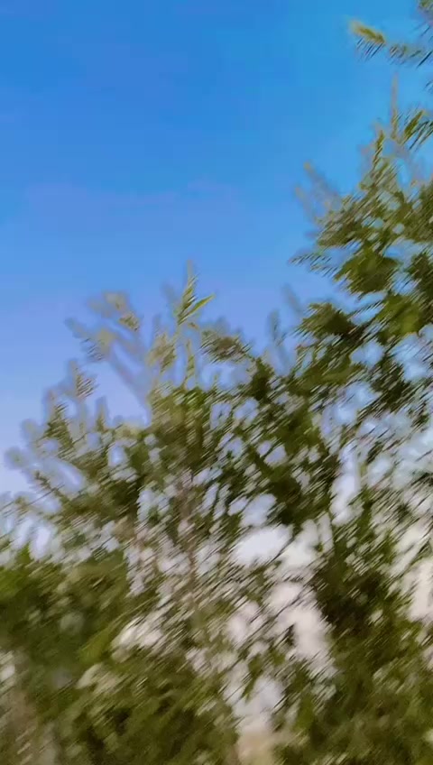 @🥀🥀محمد عرفان بھکر🥀🥀🥀🌹🌹?