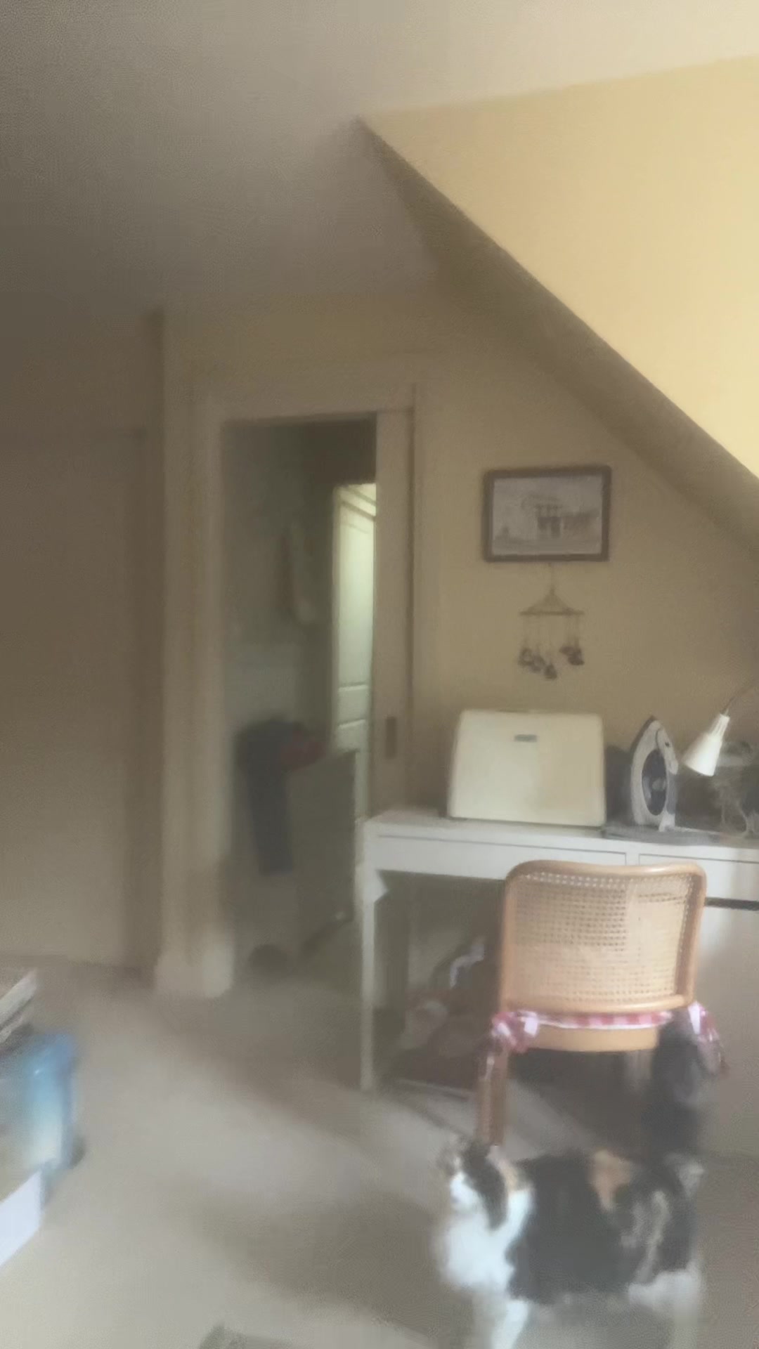 @moidletgroid