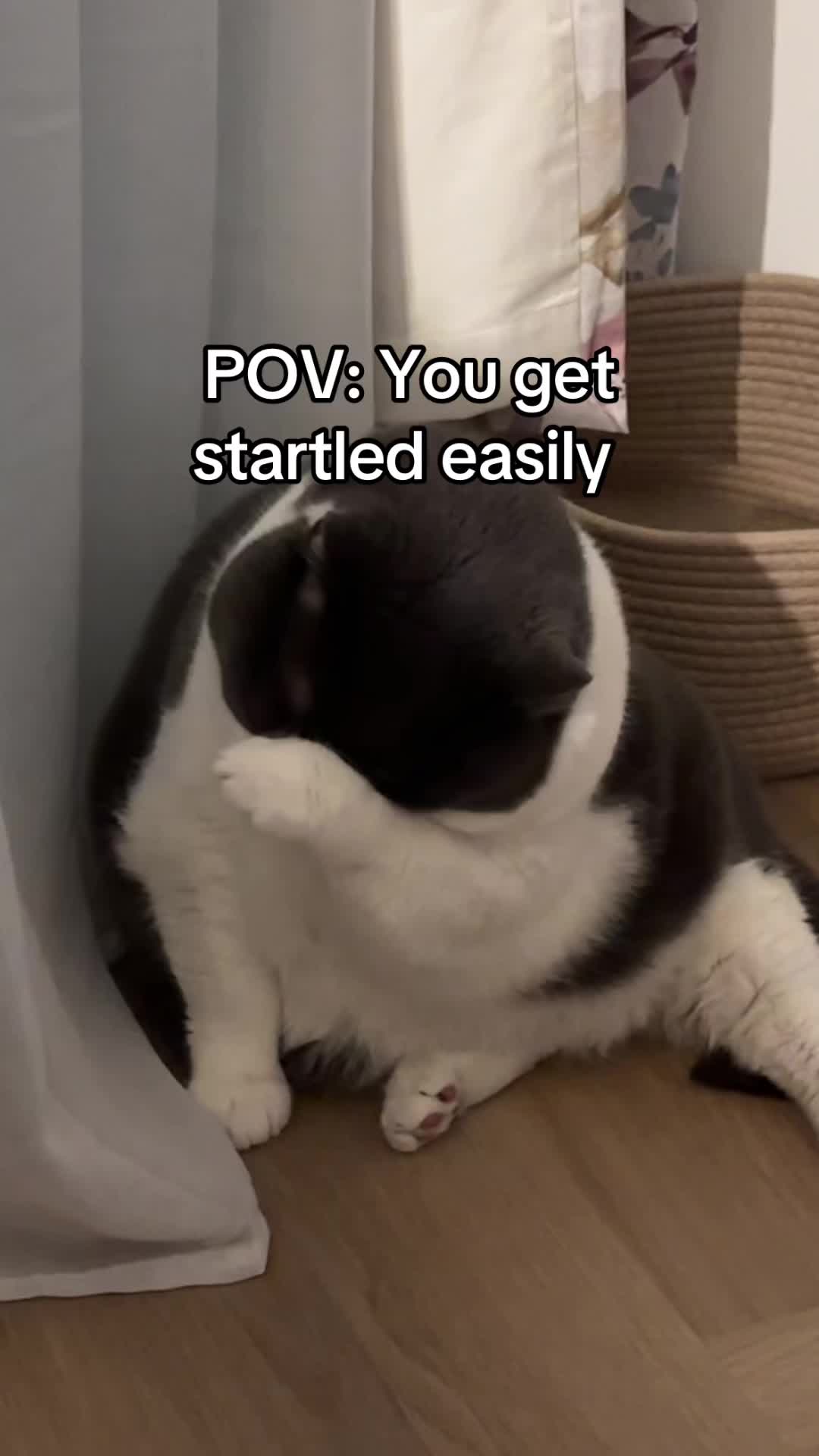 @Emojithecat