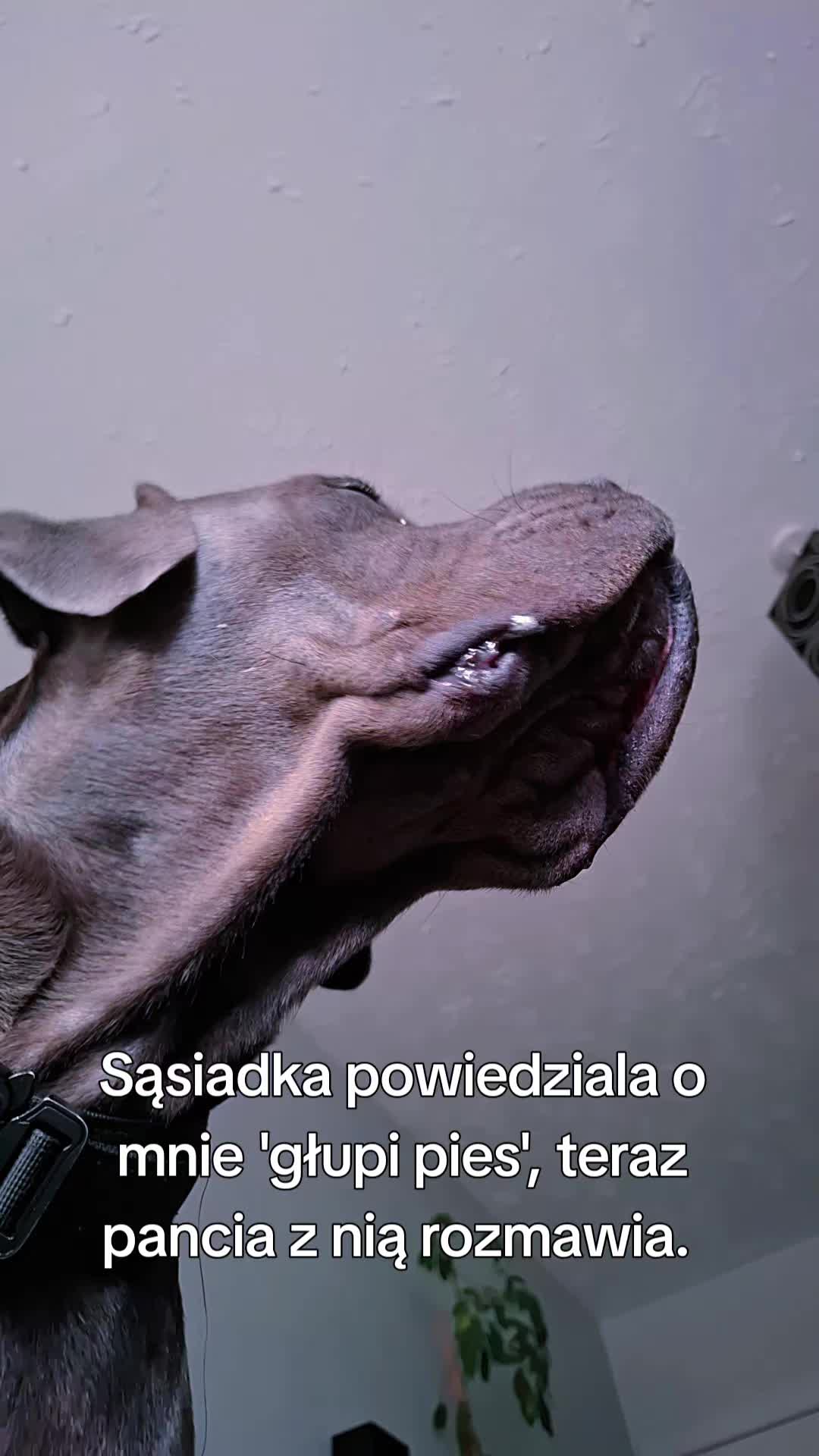 @Sylwia