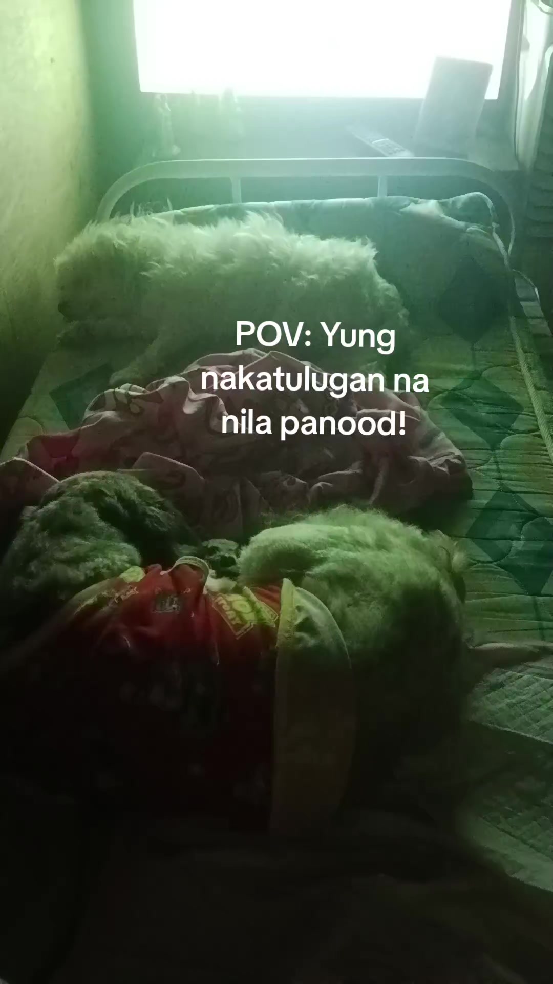 @Ms. Knightlee