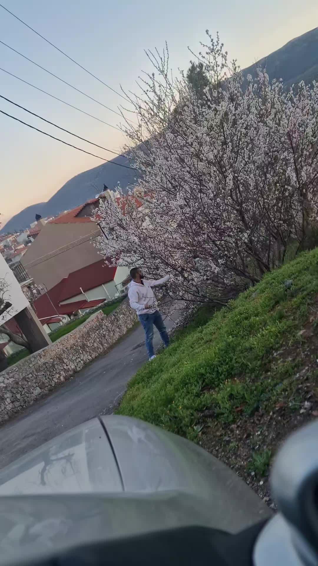 @Olga Κ.