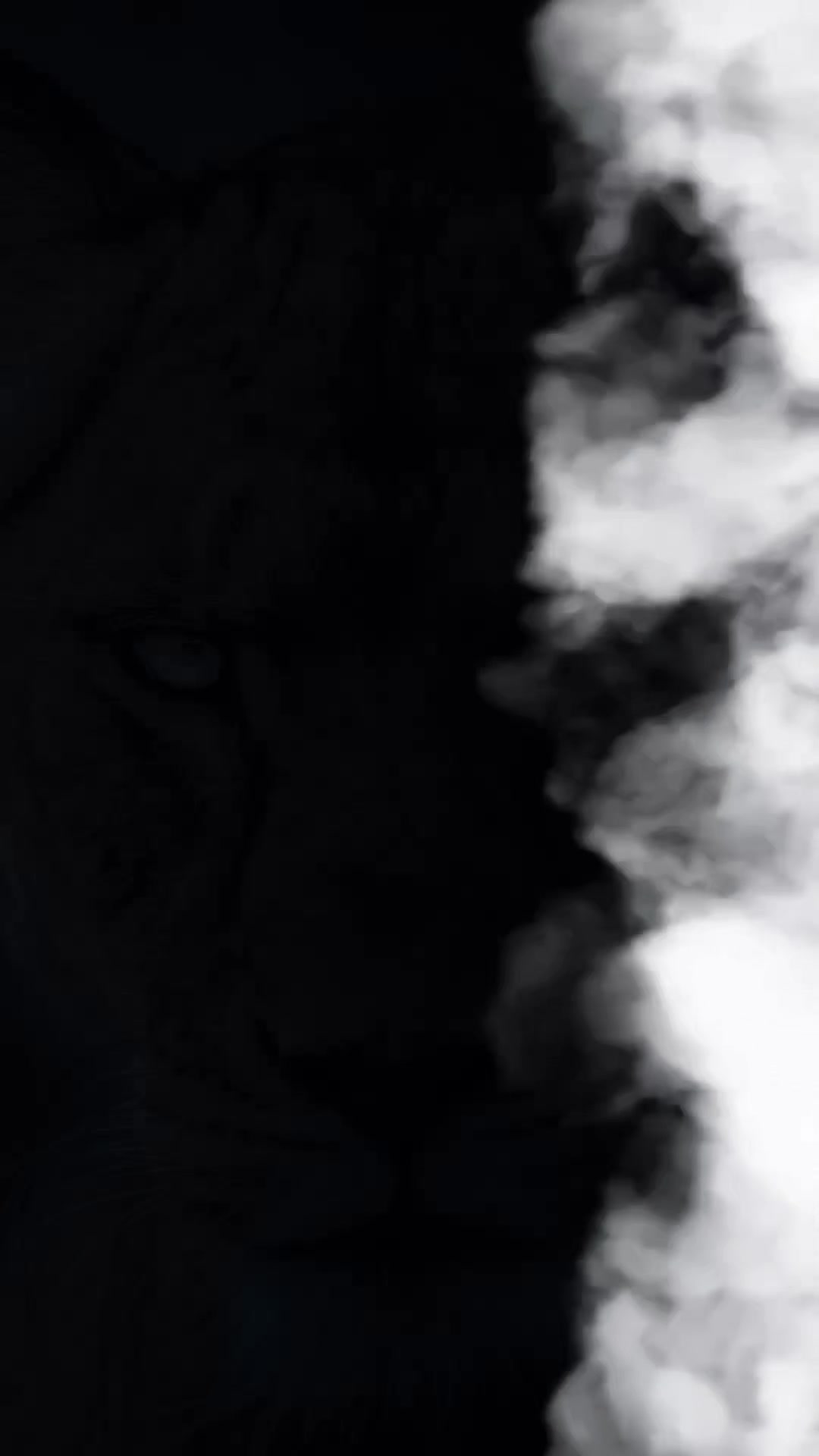 @๐ฆ๐ฆThe Lion ๐ฆ๐ฆ