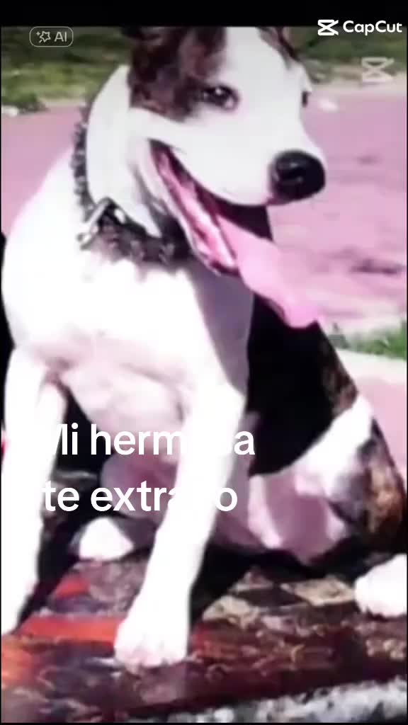 @Mirella Sedamanos