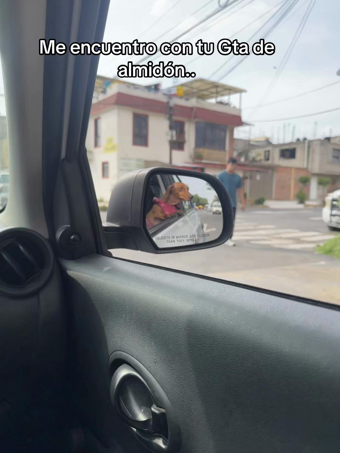 @Alexia Reyes