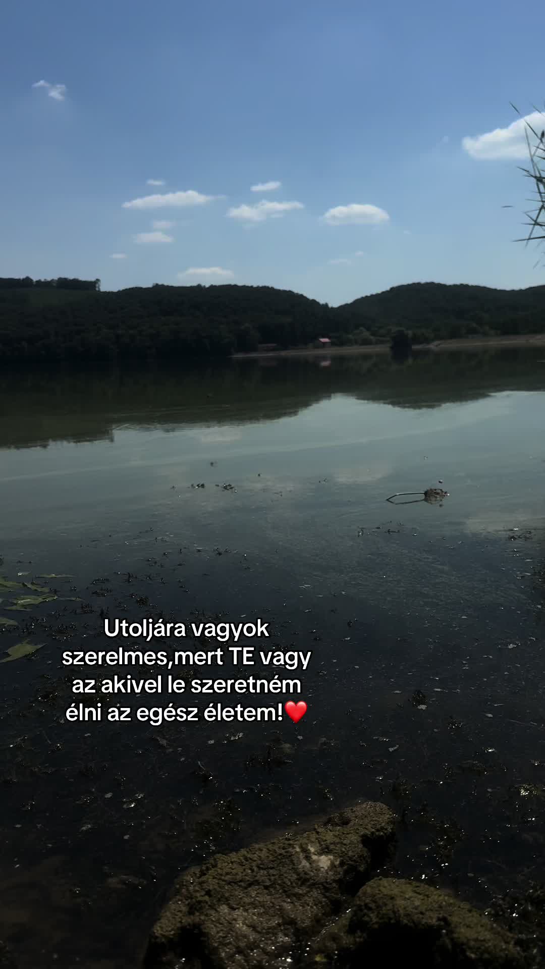 @•𝓞𝓻𝓼𝓲•