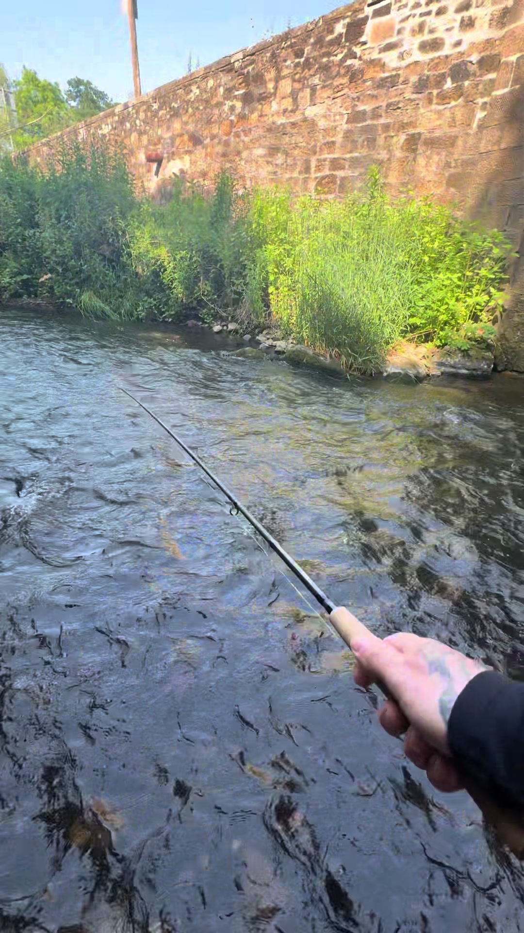 @Alba Trout 🏴󠁧󠁢󠁳󠁣󠁴󠁿