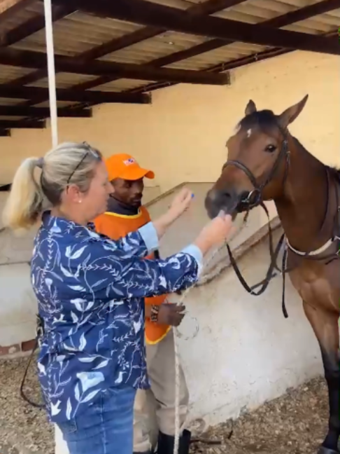 @Gallop TV