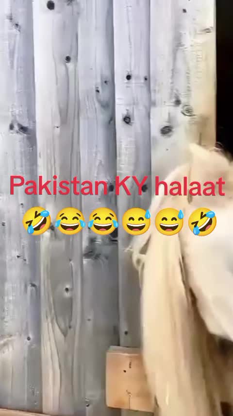 @Hameed 🇵🇰