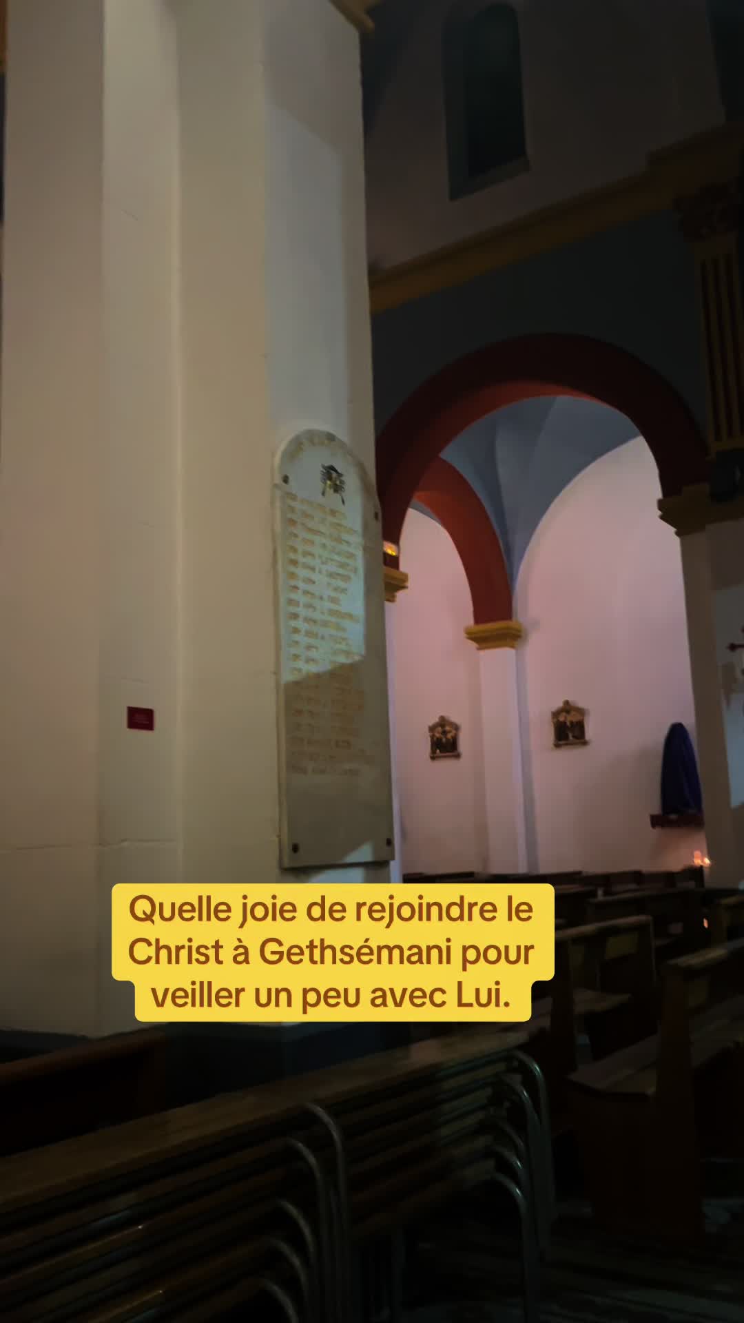 @Taco✝️⚜️🇻🇦
