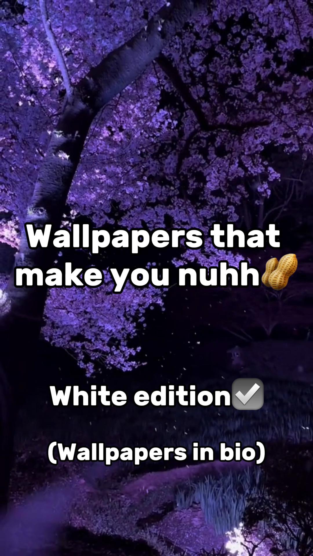 @TheWallpaperGuy