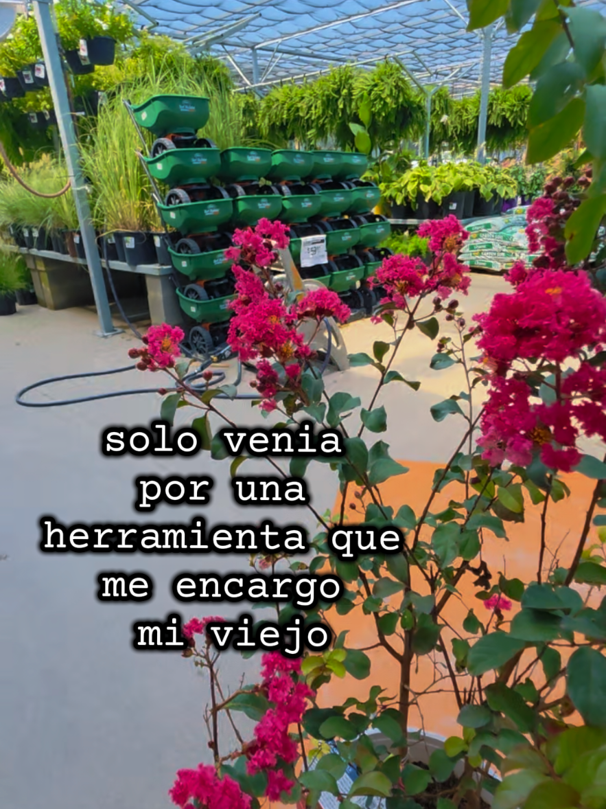 @Mi Rincón Favorito