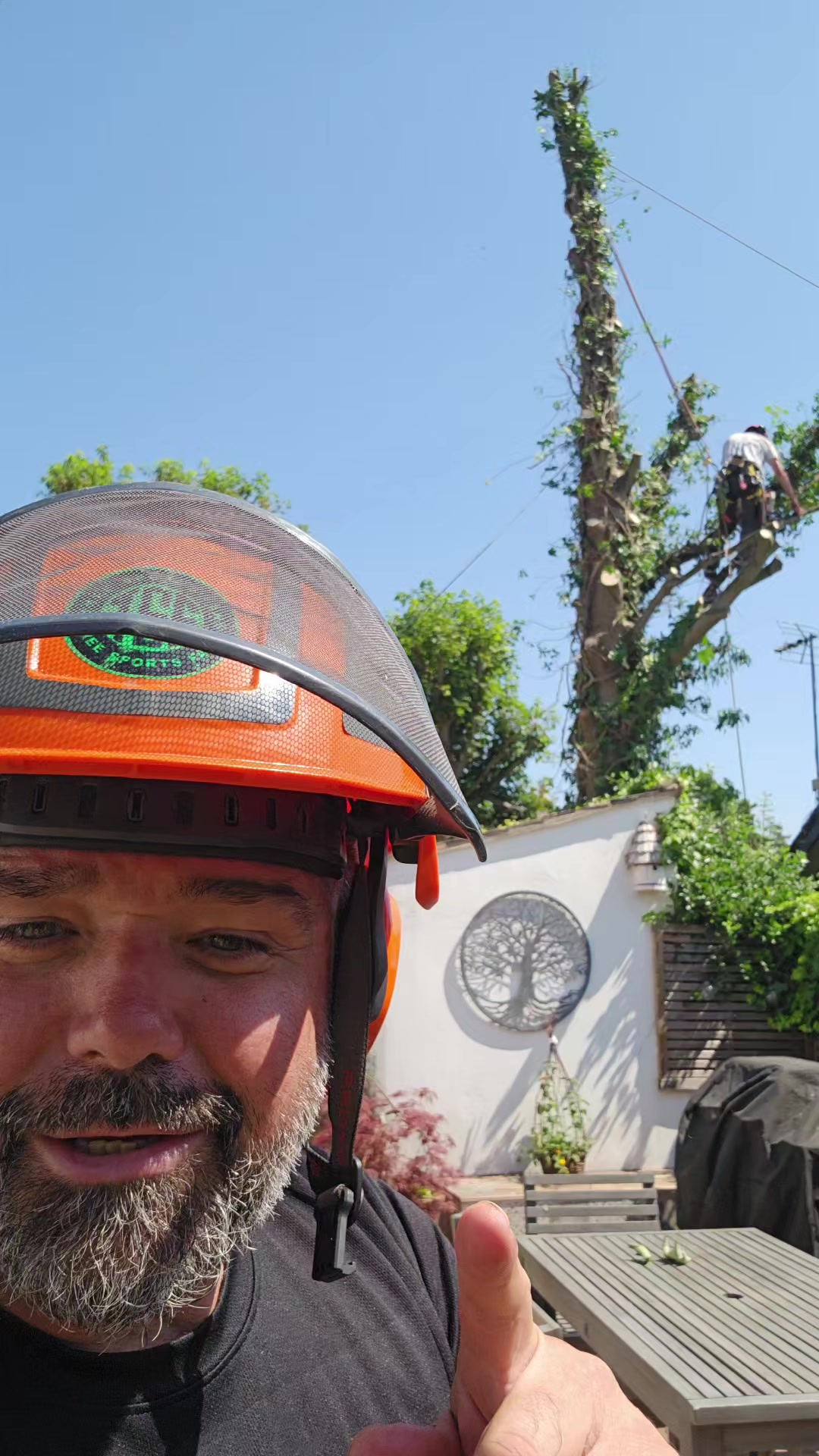 @treesportsfans