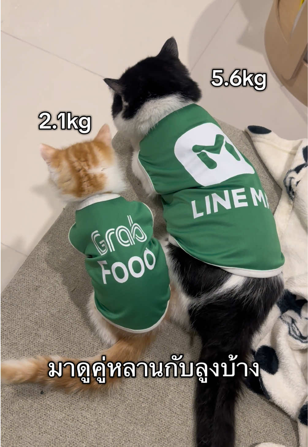 @เยอร์เก้นอยากเป็นดารา