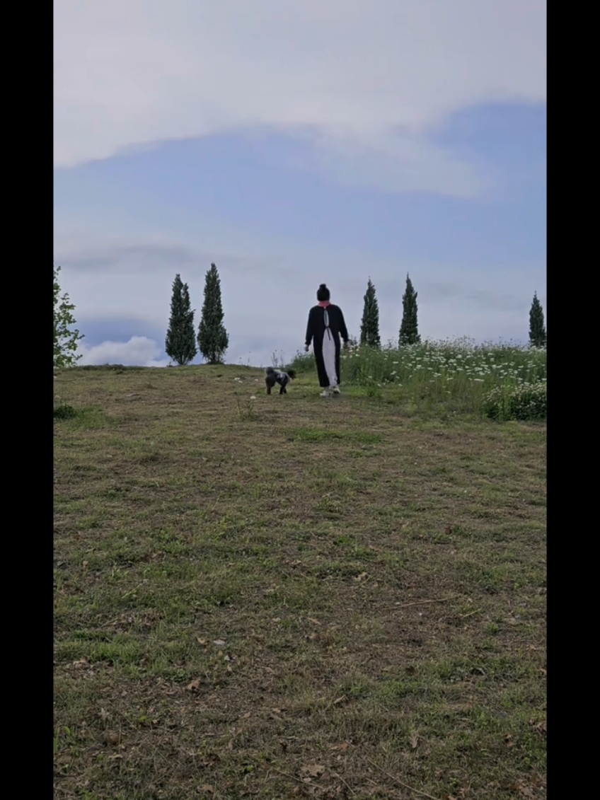 @복이🌲🌲🌲