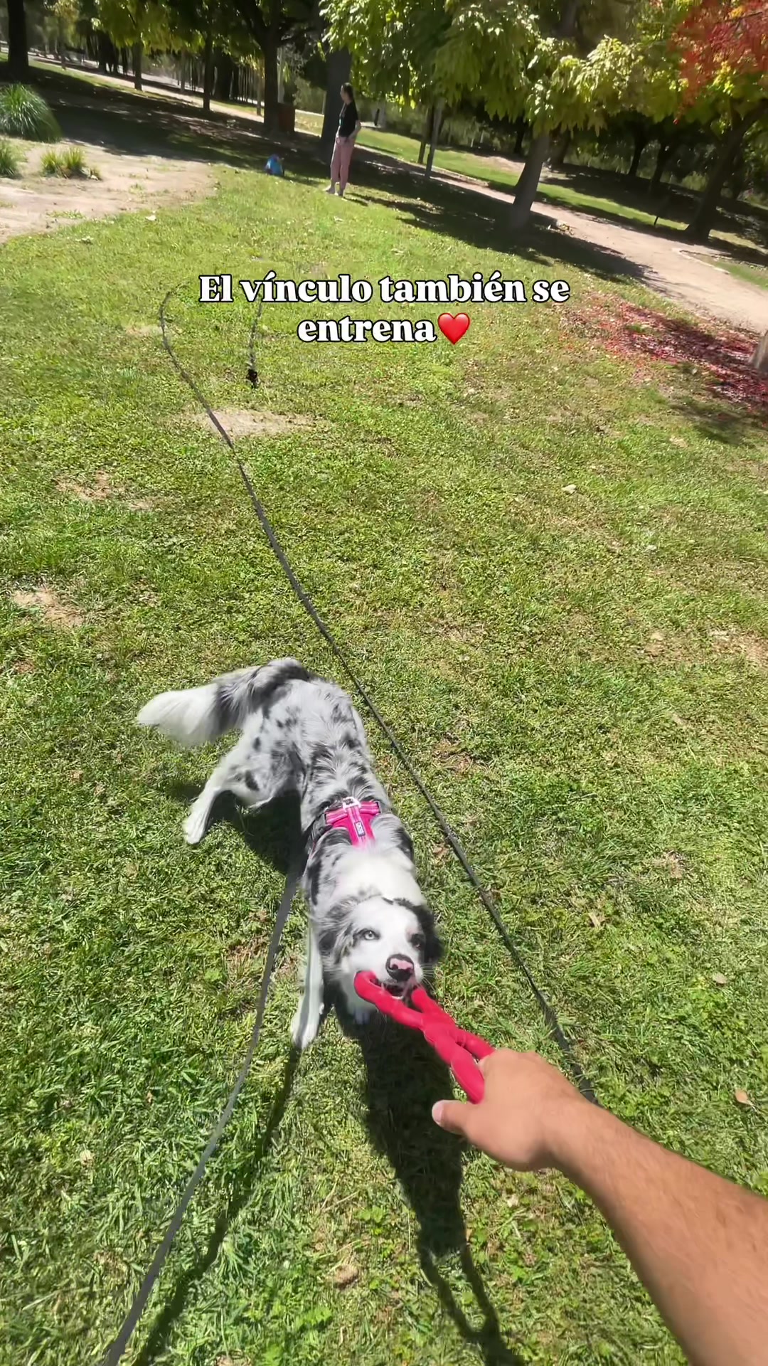 @Ares y Aura