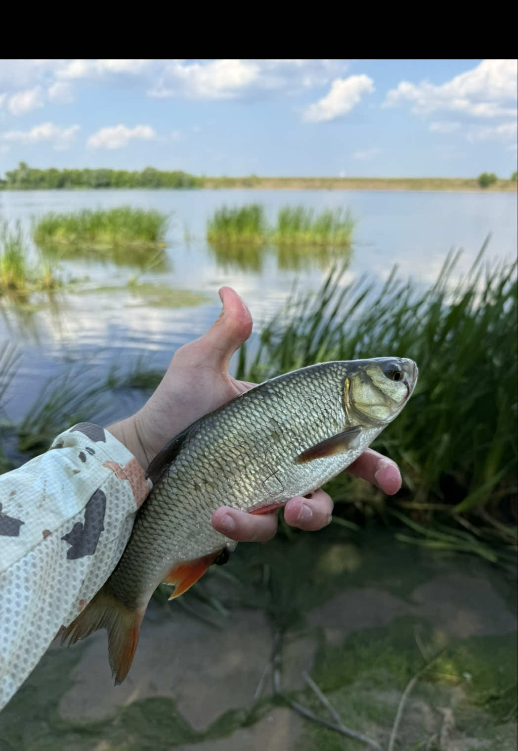 @FE_FISH
