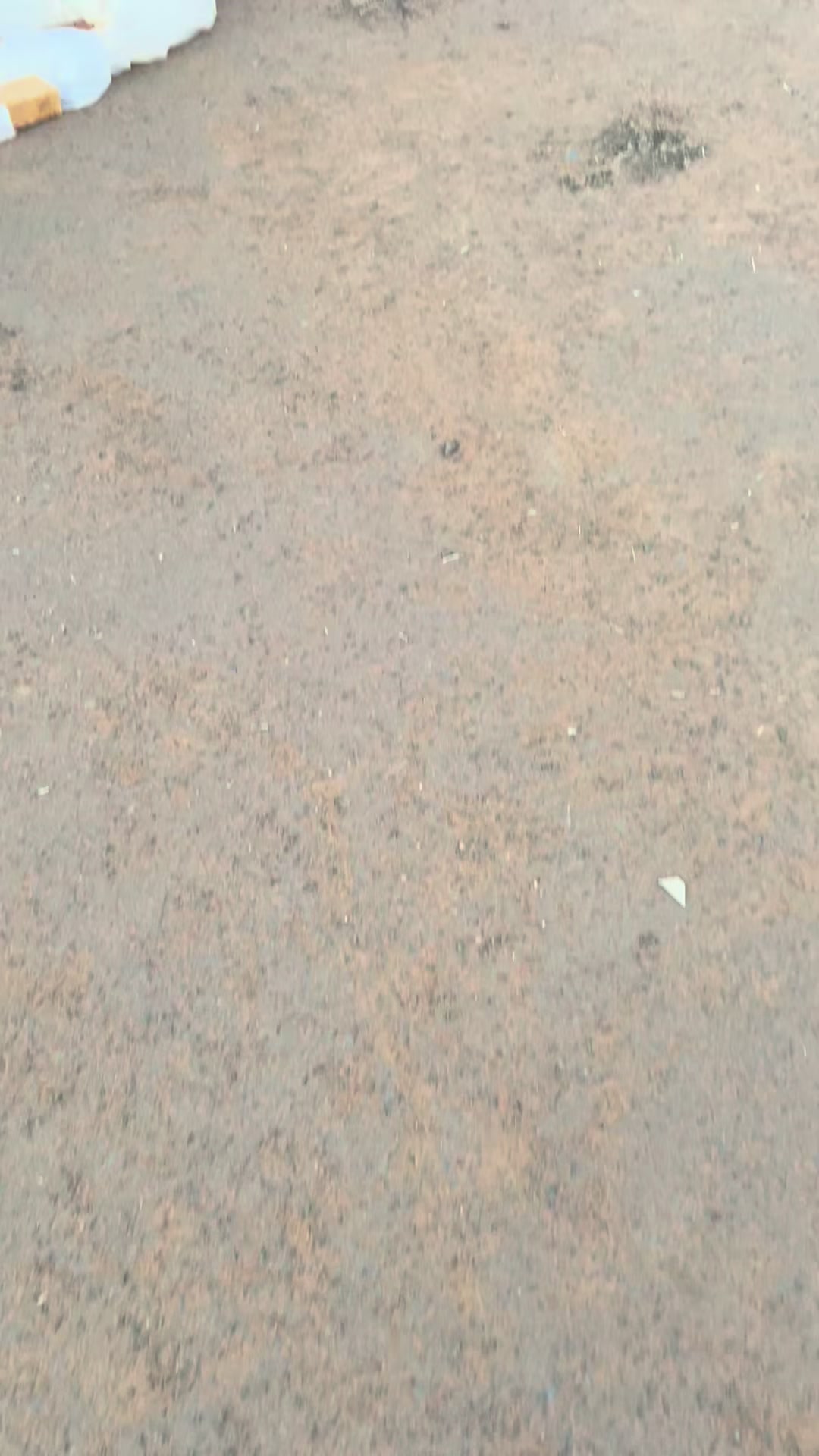 @🇹🇷فلوُستر