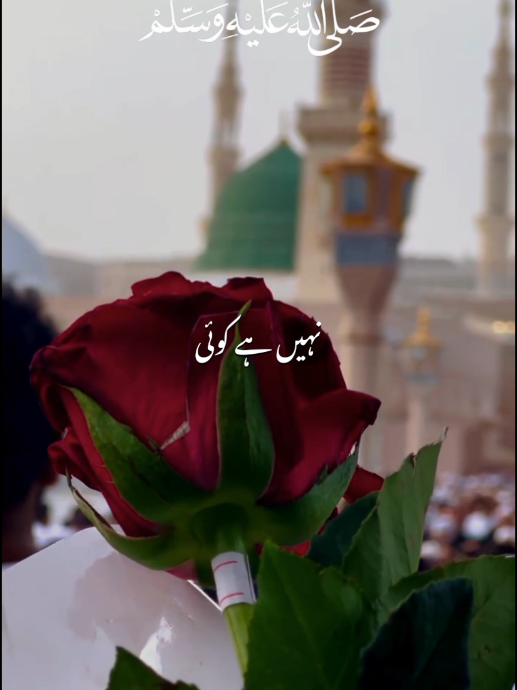 @𝙈𝘼𝙅𝙄𝘿 𝙒𝙍𝙄𝙏𝙀𝙎 ✨