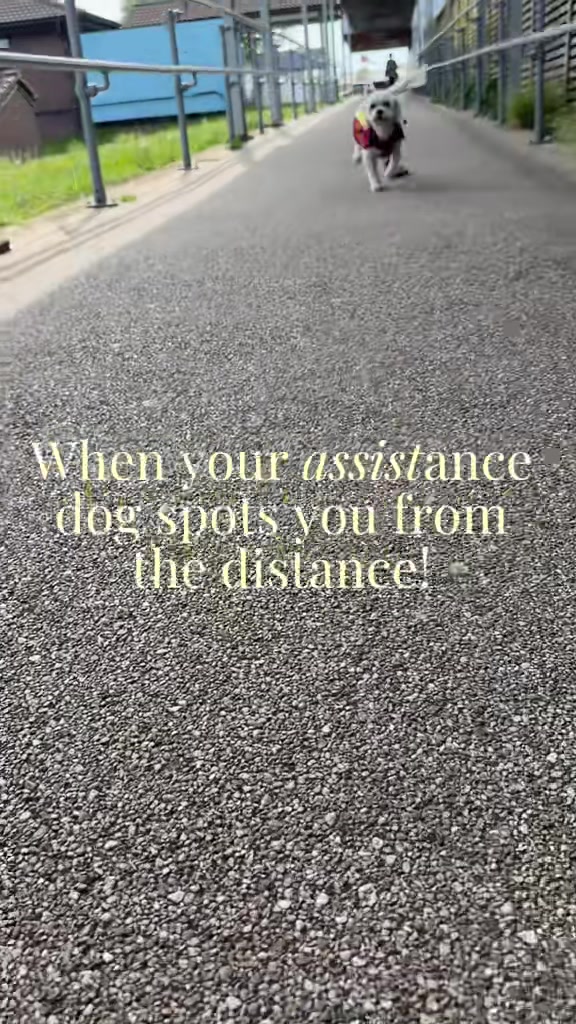 @JustFloat_RuthandWillow94
