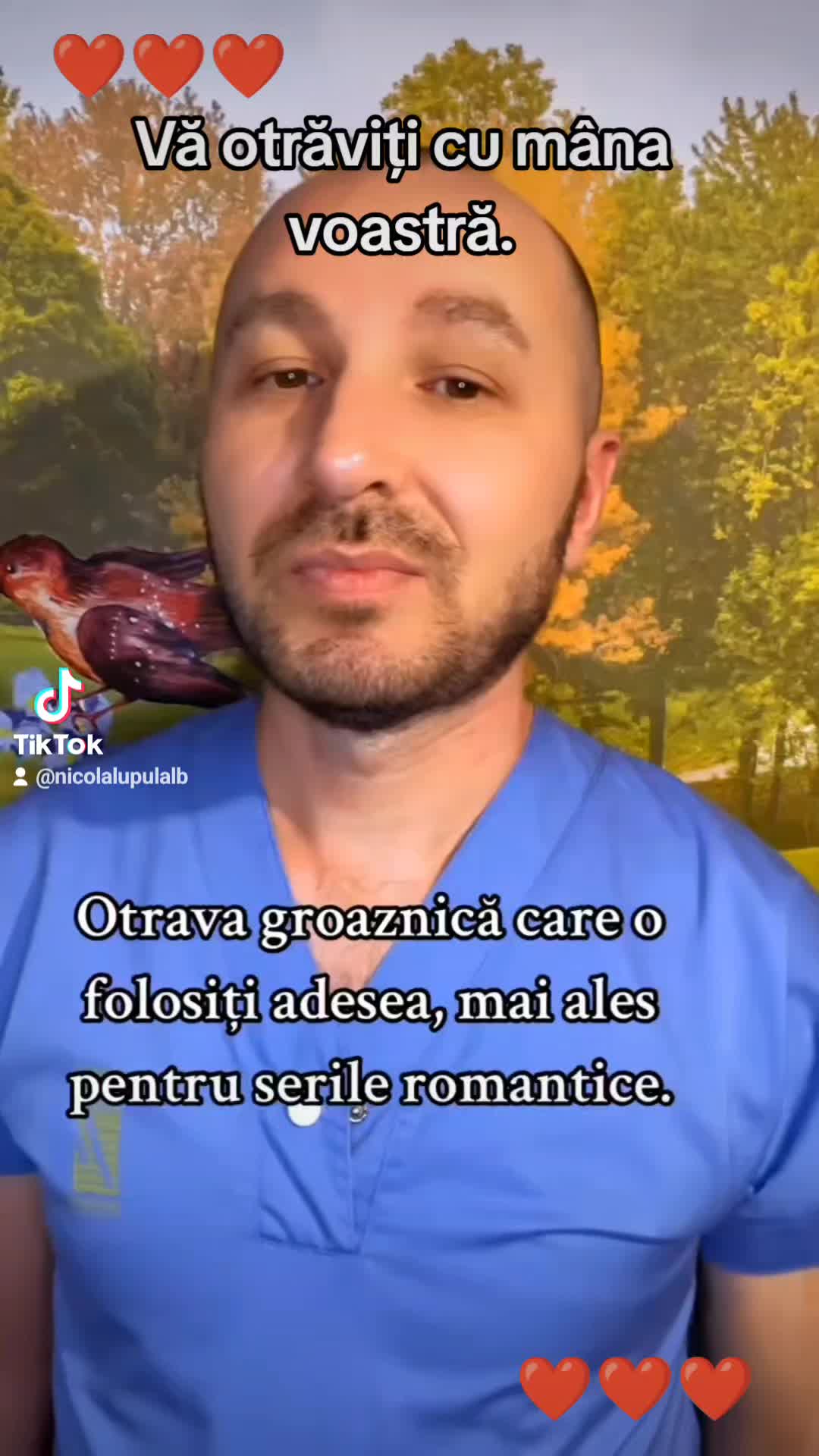 @🌹🌹Colț Alb.🌹🌹