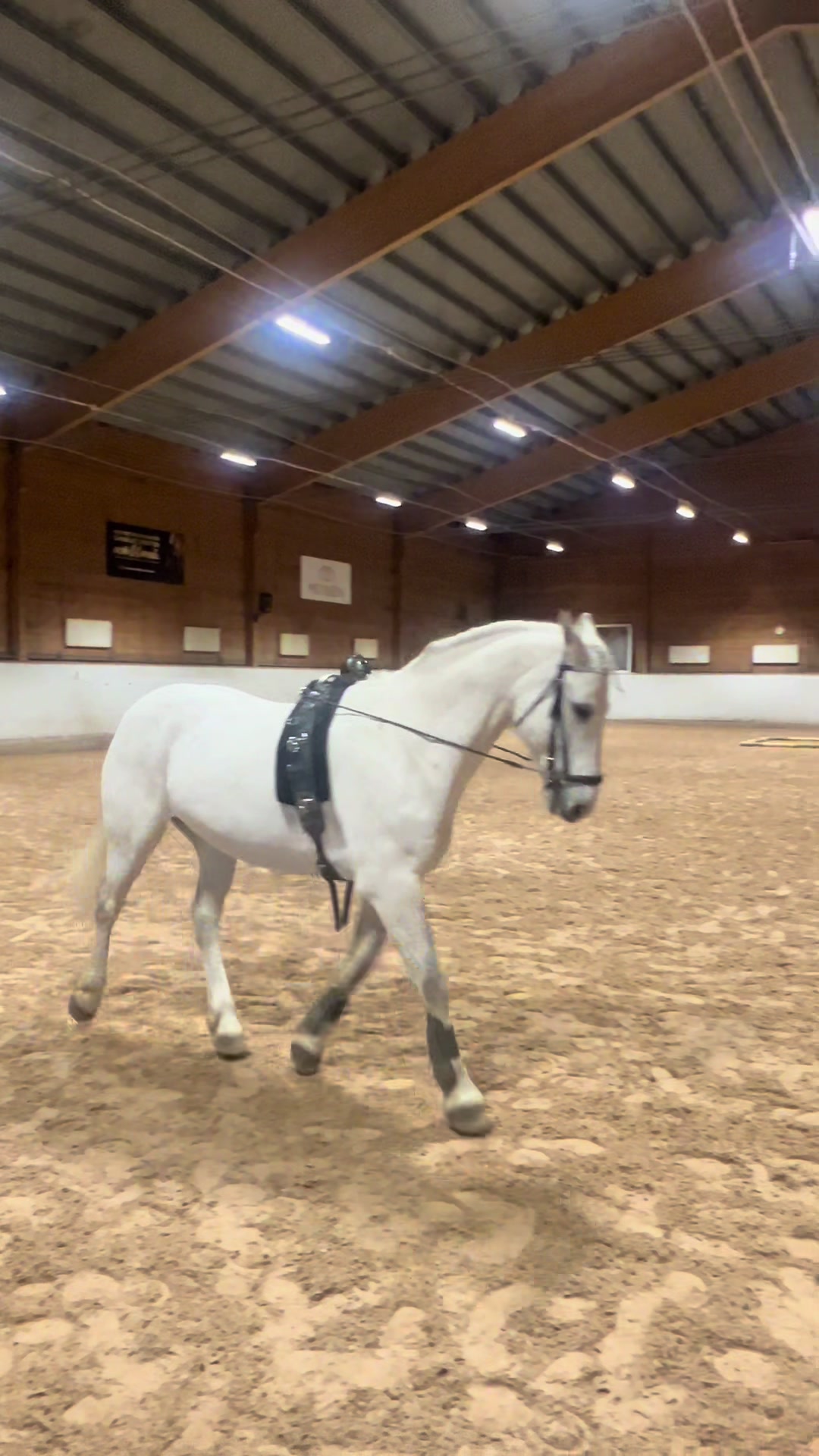 @♡Ronja♡