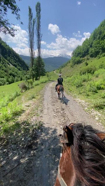 @დავით