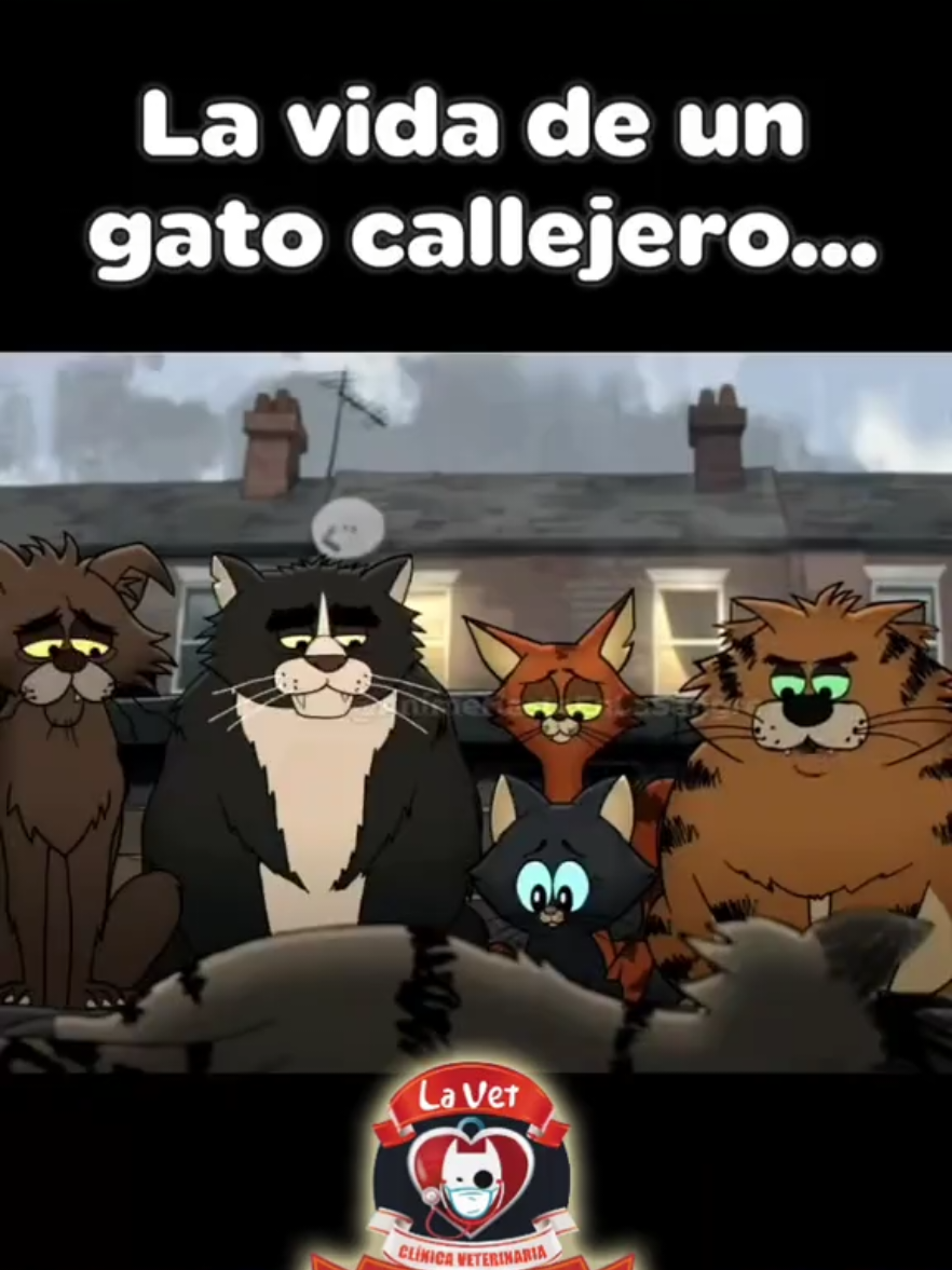 @Cl&iacute;nica la Vet Oriente