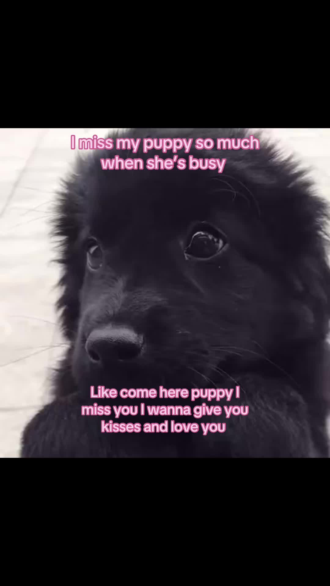 @_xxvzvxx_