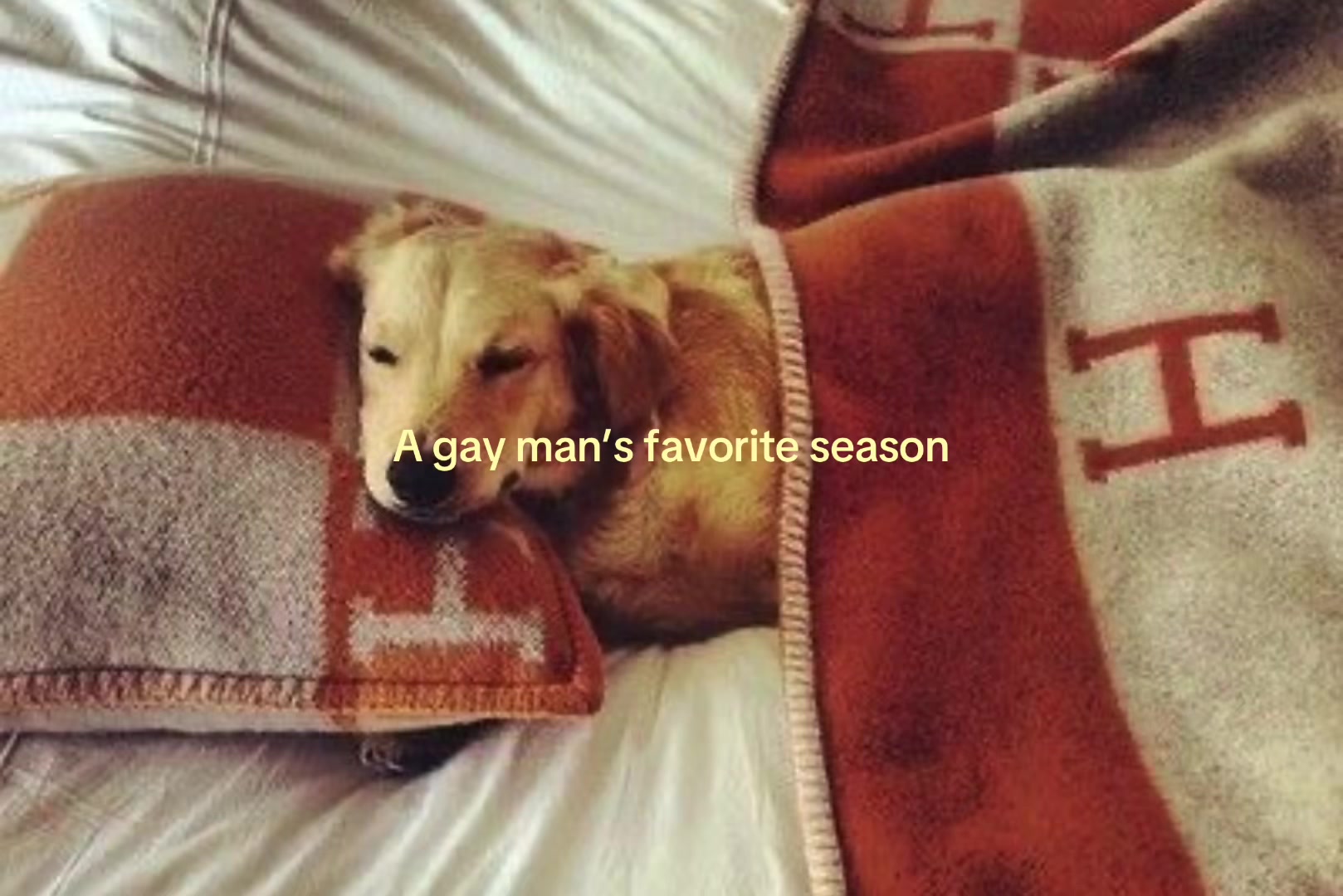 @𝓐𝓻𝓶𝓪𝓷𝓲