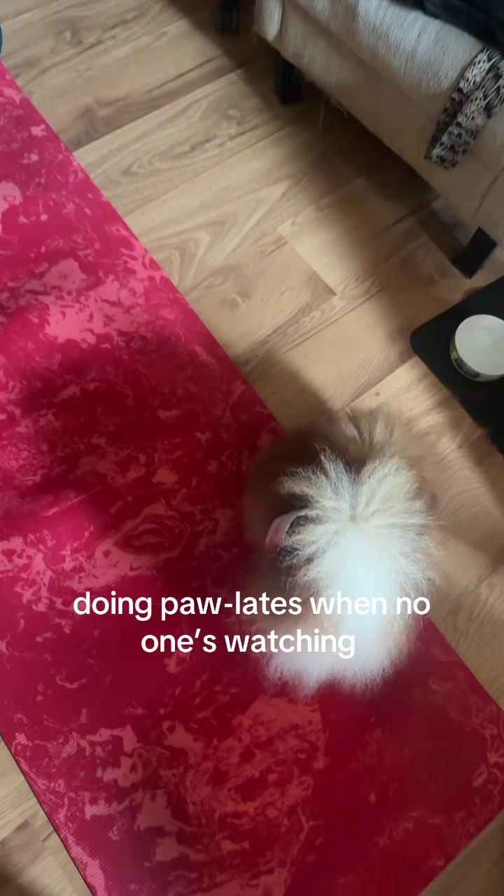 @Taira