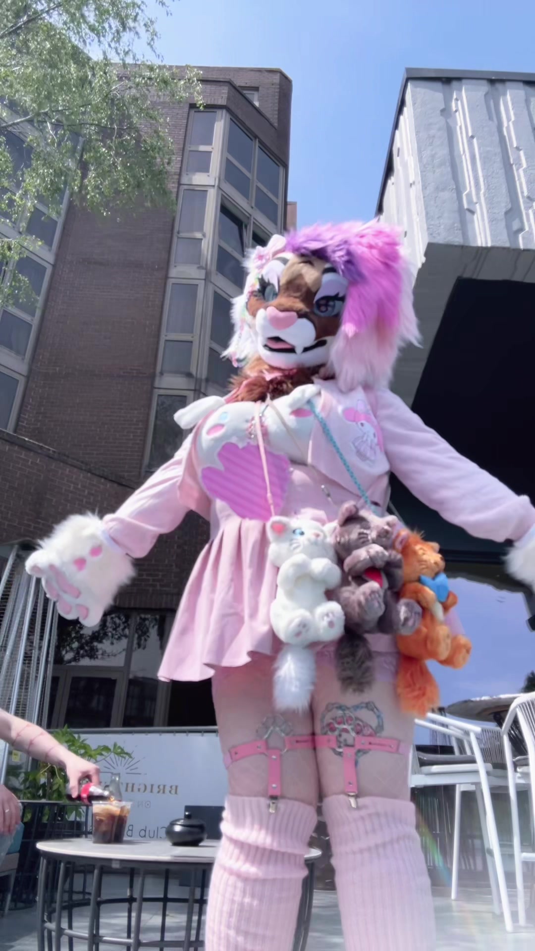 @🤍🎀 𝓐𝓷𝓰𝓮𝓵 🎀🤍CFZ2026