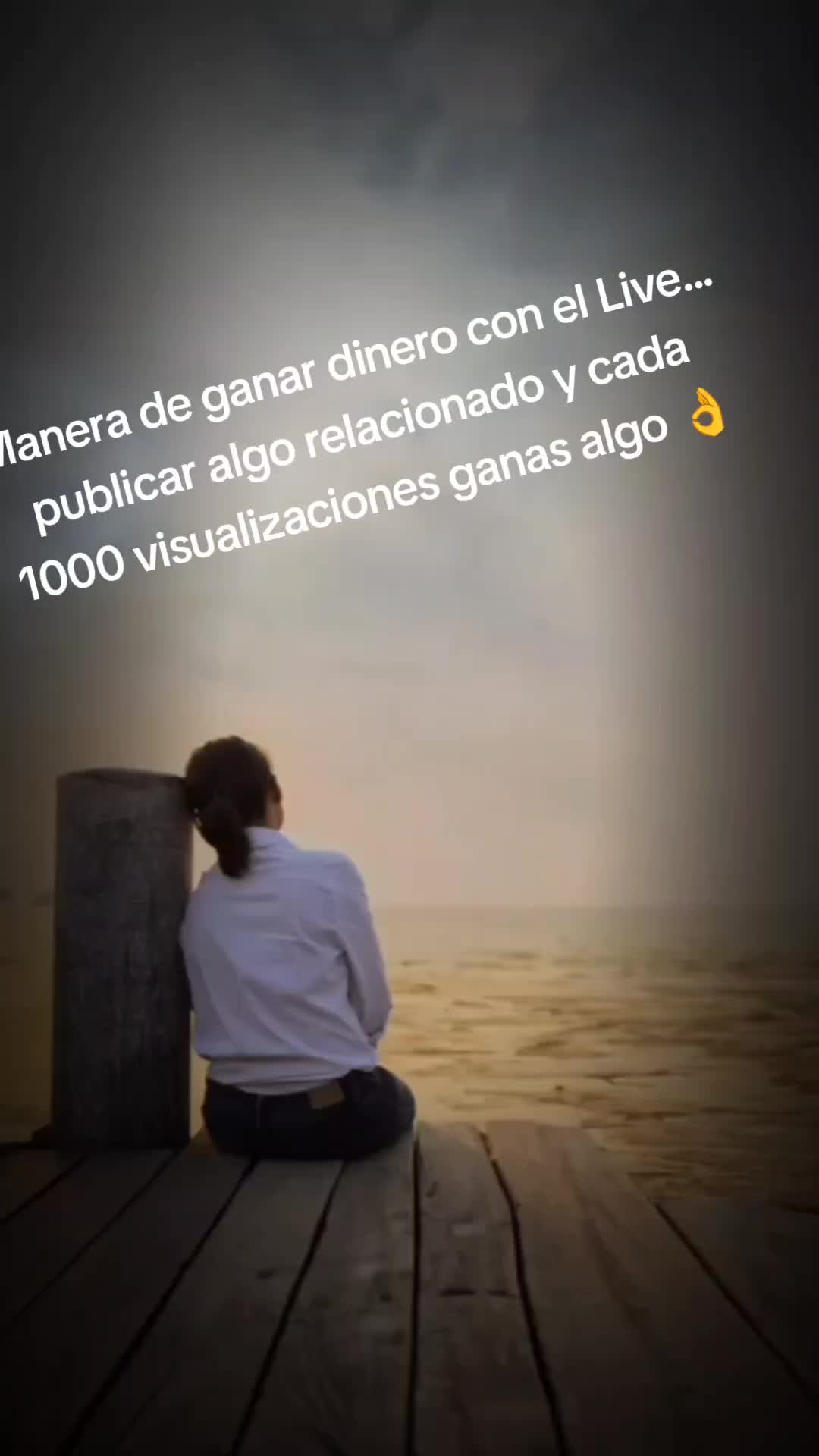 @elgatok