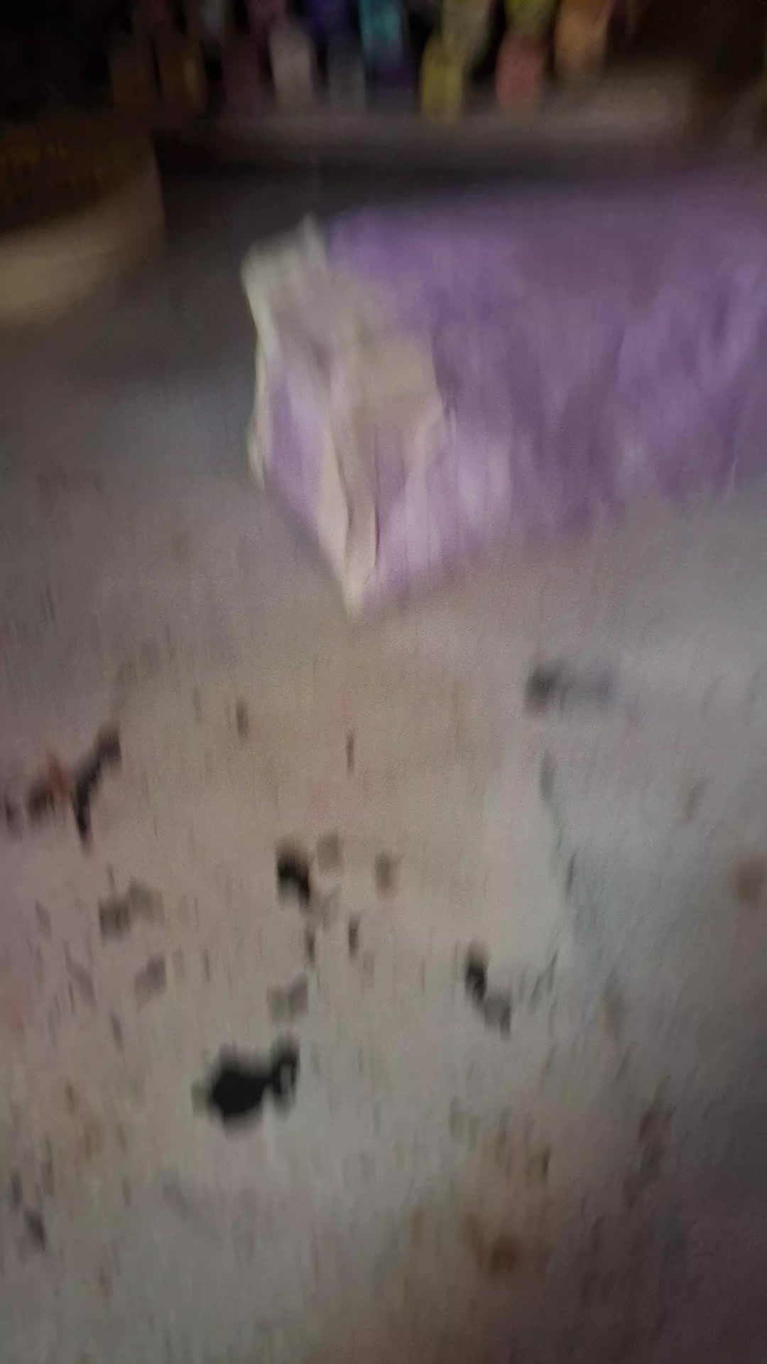 @paula zacarias