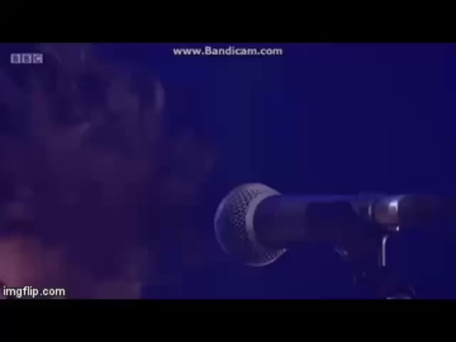 @🦇