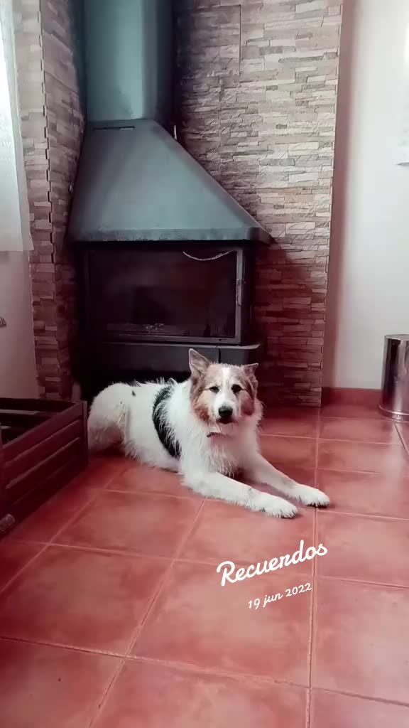 @Sus&uacute;menina