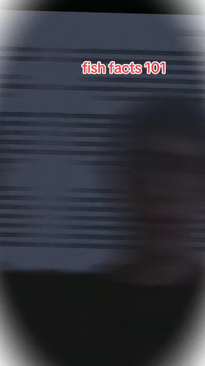 @mackenzie