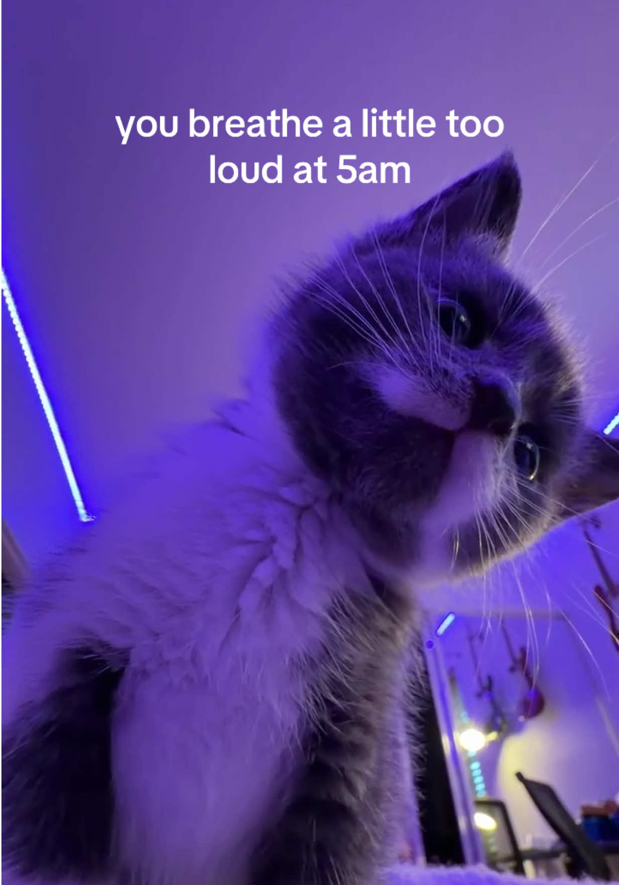 @itsdondada