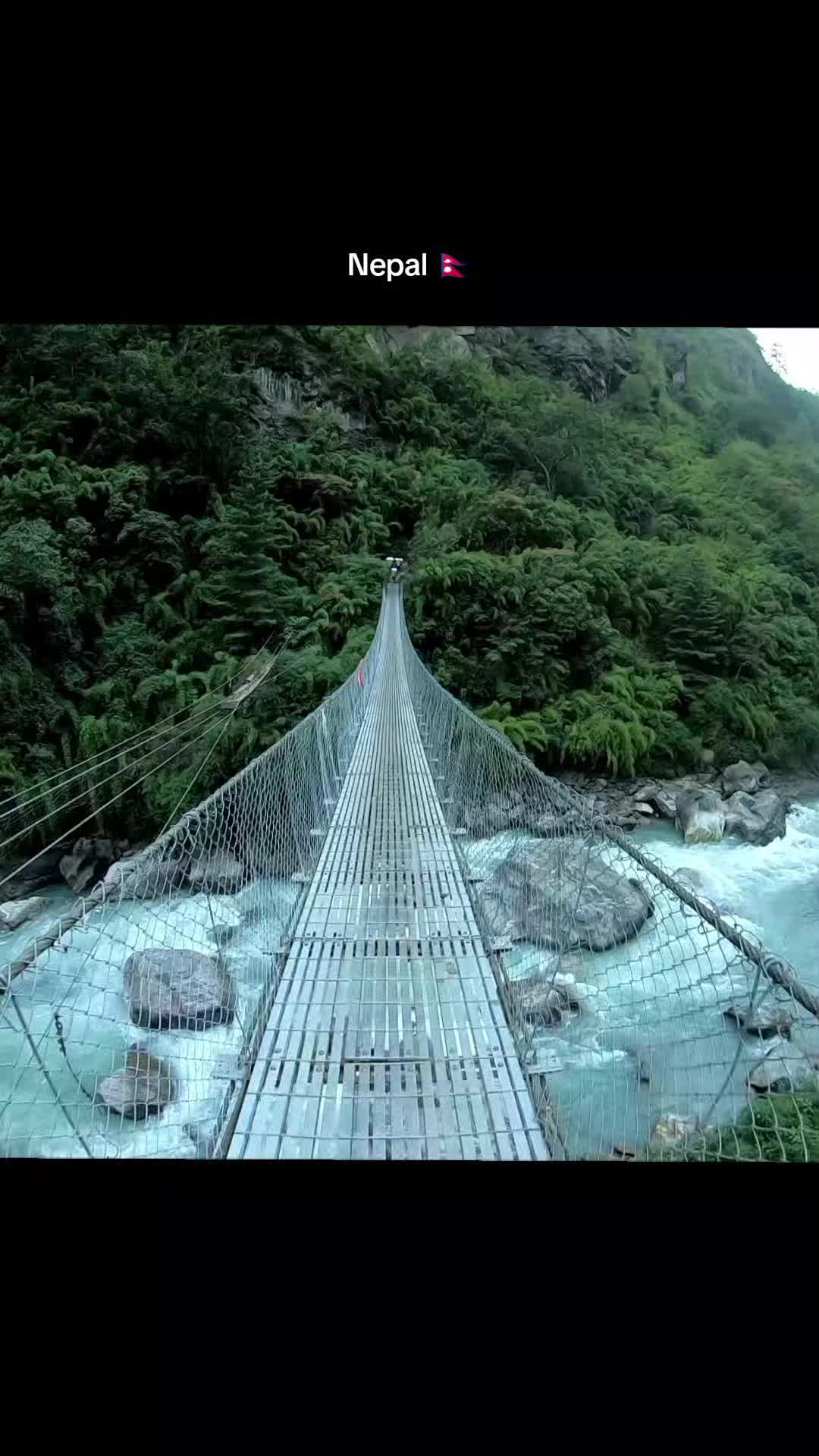 @MJ🌲