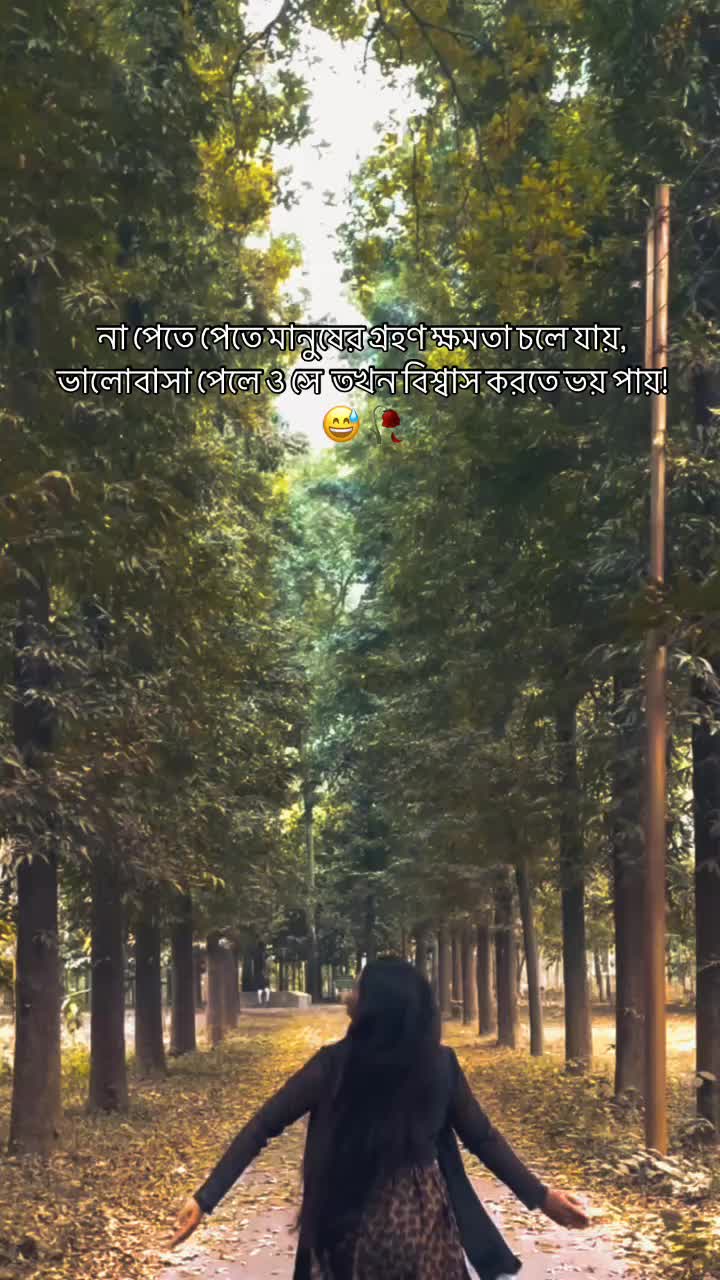@Saifa༊•°