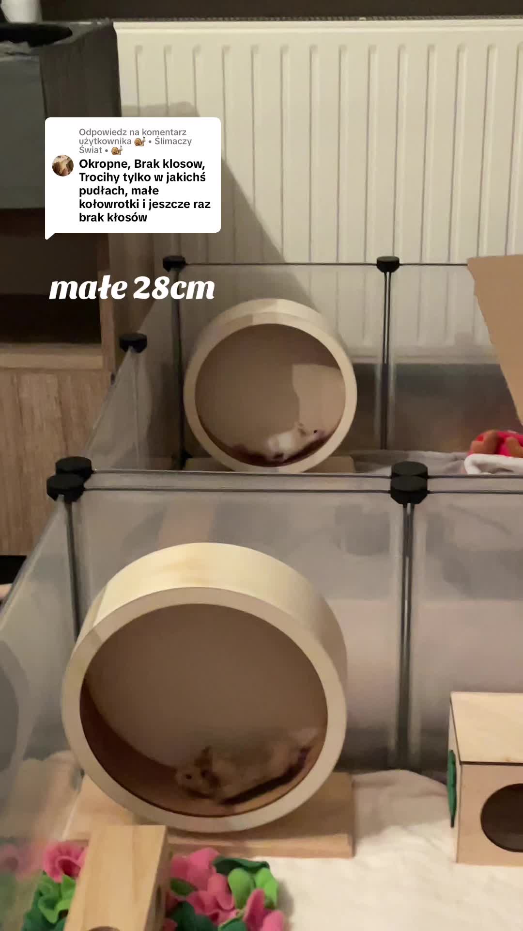 @Molly&Kiki
