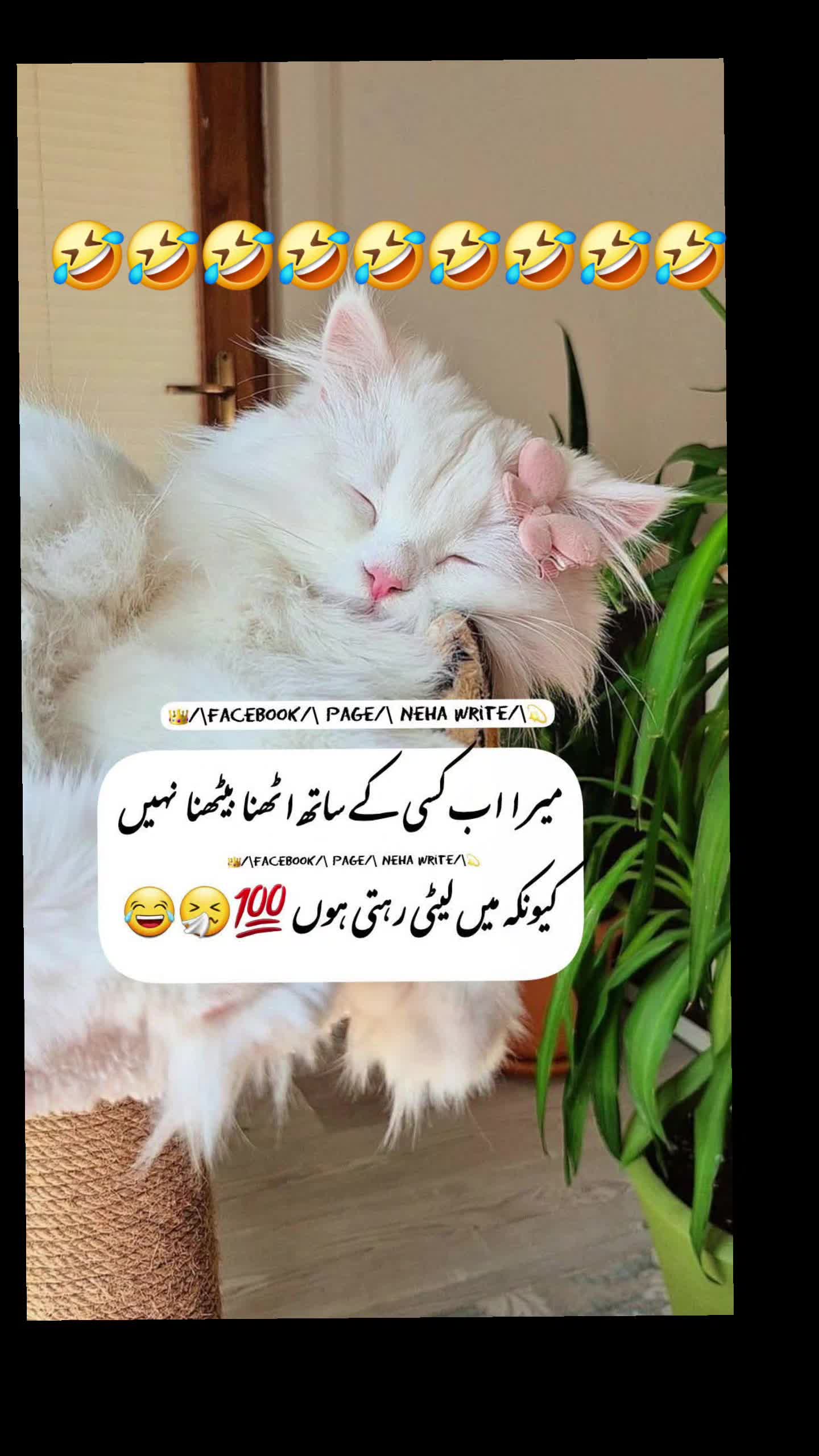 @🌹MeEm jEe SHeIkH میم جی 🌹Uk