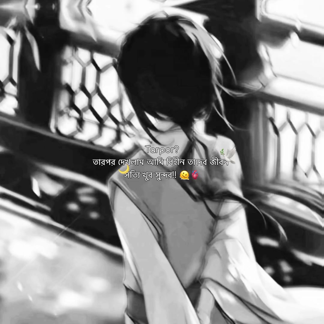 @𓇼 ⋆.˚ 𝗦𝘂𝗻𝗳𝗹𝗼𝘄𝗲𝗿🌻