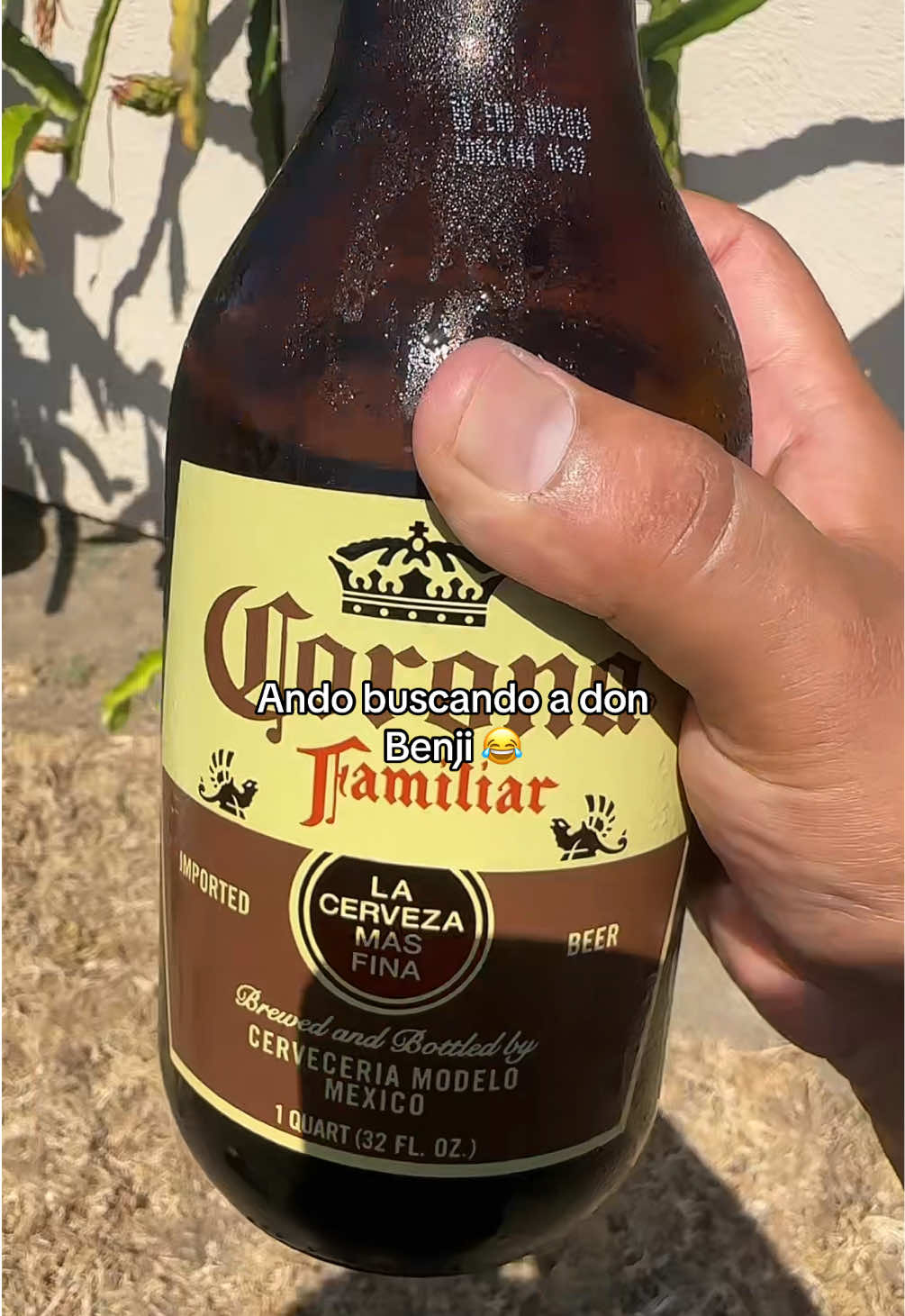 @Joeyy Patrón