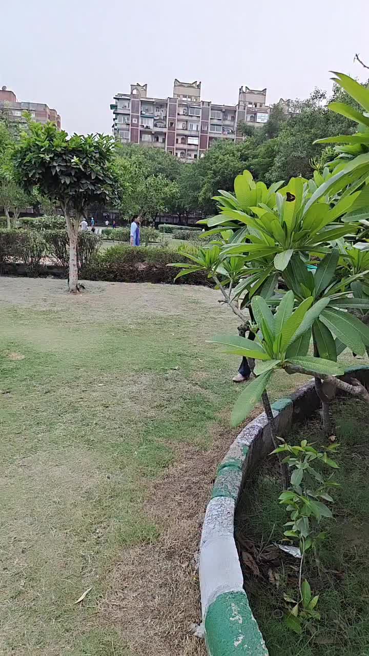 @gullalil jani